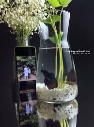 Gas ini mudah terbakar dan menimbulkan leda. Letak Penggaga Dalam Mini Aquarium Blog Sihatimerahjambu