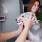 Seal Beach, CA – Dog dental cleaning event in Seal Beach, CA