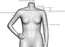 standard terminology relating to body dimensions for apparel