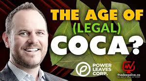 Power Leaves: Pioneering Coca Products