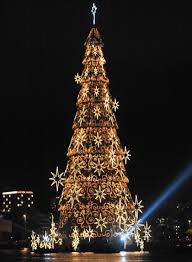 Christmas Trees Around The World Christmas Lights Beautiful Christmas Trees Types Of Christmas Trees