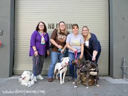 Adoption events in atherton, ca for those with an approved application. Family Dog Rescue Making Happy Families About A Mom