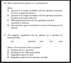 Solved 19 The Table Shows Some Aspects Of Conjugation In Chegg Com