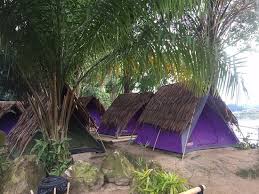 The Tents Picture Of Tadom Hill Resorts Banting Tripadvisor