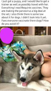 Scott and fuller's research has found that puppies at 5 weeks of. 48 Times People Encountered Insane Moms Online And Just Had To Shame Their Behavior In This Group Laptrinhx