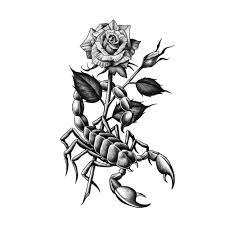 Available Design Blackwork Blackandgrey Flash Design Traditional Scorpion Rose Illson Apr 6th Scorpion Tattoo Scorpio Zodiac Tattoos Zodiac Tattoos