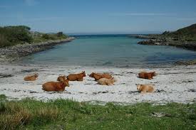 Are you looking for suitable hotels in arisaig? Arisaig Morar Beaches Beaches Fort William Ben Nevis Lochaber Arisaig
