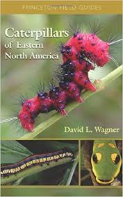 Amazon Com Caterpillars Of Eastern North America A Guide