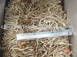 We did not find results for: Dried Black Poplar Mushroom Products China Dried Black Poplar Mushroom Supplier