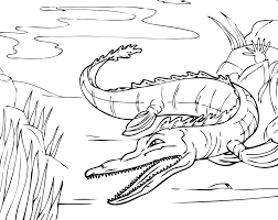 Looking for alligator coloring pages, see for yourselves : Free Printable Alligator Coloring Pages For Kids