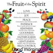 Pin By Carolyn Mckinnon On Gifts Fruit Of The Holy Spirit Fruit Of The Spirit Spirit Quotes Slow To Speak