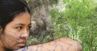 ECO DEL BÚHO: Conociendo el Bajo Urubamba