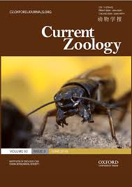 The inaugural finals of the european cricket league. Pdf Controlling The Decision To Fight Or Flee The Roles Of Biogenic Amines And Nitric Oxide In The Cricket