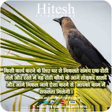 Pin On Astrologer