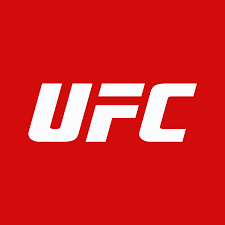 This magnet is a great way to show off your love for ufc around the home or at the office. Ufc Ultimate Fighting Championship Font Delta Fonts