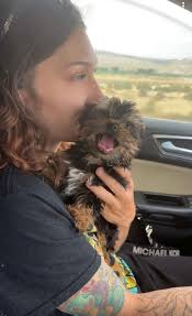 First trip to the US with mom and a cute puppy