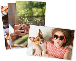 Amazon Com Photo Prints Glossy Standard Size 4x6 Low prices from 9p (29cents) a print (6x4).
