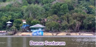 Hewan bisa berperan sebagai konsumen tingkat pertama, konsumen tingkat kedua, ketiga, dan seterusnya. Tujuan Pelestarian Hewan Dan Tumbuhan Mikirbae Com