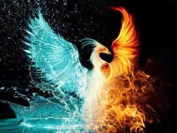 Image result for Phoenix