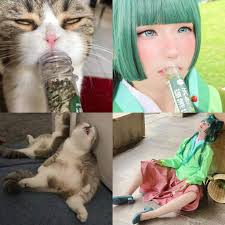 肉肉-Neneko added a new photo — with 小喵and Kuo Wan-Rou.