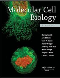 Molecular Cell Biology Lodish 8th Edition Pdf Free Molecular Cell Biology Lodish 8th Edition Biology Is A Science Fund Cell Biology Molecular Biology Biology