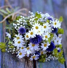 Daisy is a flower that known for its simplicity and is considered to symbolize a sweet adoration and love that is essential for a marriage to be successful. Daisy Bunch Wildflower Bouquet Daisy Bouquet Wedding Wedding Flowers Wildflowers