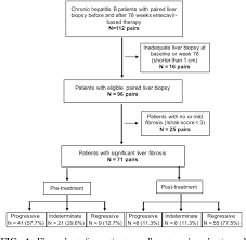 Figure 1 From New Classification Of Liver Biopsy Assessment