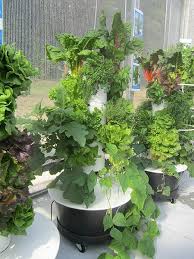 Juice plus + tower garden. Juice Plus Juice Plus Official Homepage Juice Plus Tower Garden Tower Garden Urban Garden