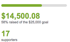 Choose To Display Fundraising Page Progress Chart As A Wheel