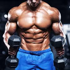 You've got around 650 muscles in your body, and they make up roughly half of your bodyweight. What Is The Best Way To Build Muscle Quora
