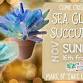 Sea Glass Succulent Workshop event image