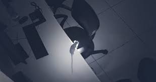 Fire Accident case : A rat causes 1 crore loss