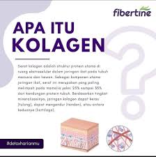 Anda mungkin sudah sering mendengarnya karena banyak digunakan pada berbagai macam produk kesehatan dan kecantikan. Go Tuku Onshop Fibertine Fiberdrink With Collagen Facebook