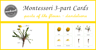 Account Suspended Montessori Printables Montessori Lessons Montessori