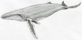 1001 Ideas De Dibujos Faciles De Hacer Paso A Paso No solo quienes saben pueden hacer estos dibujos, animate vos tambien a hacer estos disenos faciles y lindos. ideas de dibujos faciles de hacer paso