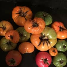 Maybe you would like to learn more about one of these? Espoma Keep Tomatoes From Cracking And Splitting Espoma
