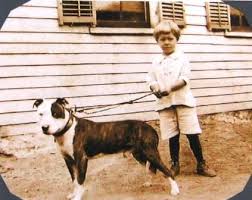 Pin On Historical Pet Dogs