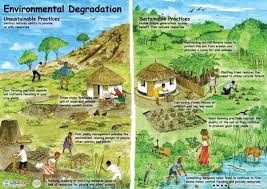 Environmental Degradation Poster Environmental Degradation Environment Environmental Education