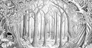 Filled with plants, animals, insects, and beautiful colors, forests are a magical place for children. Woods Coloring Pages