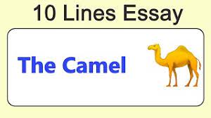 Info:camel's ognl support is for invoking methods only. 10 Lines On Camel In English Youtube