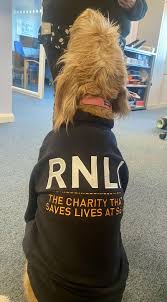 Hogan doing his bit for the RNLI! He loves a bit of human interaction and… 