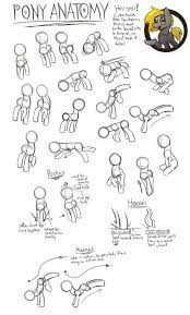 Pony Anatomy Tutorial By Cybertoaster Deviantart Com On Deviantart By Lucy Risovat Loshadinye Kartiny Risovanie Eskizov