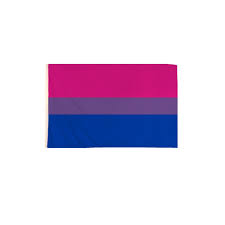 27 дек 2018 в 19:30. Zac S Alter Ego Zac S Alter Ego Flagge 5 X 3 Feet Bisexual Mehrfarben