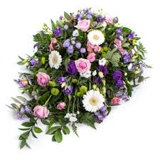 @missdaisyflowers miss daisy @wonder.solomon miss_daisy_flowers @missdaisyfreshdutchflowers miss daisy fresh dutch flowers @missdaisysflowers miss daisy @daisymissflowerbom daisy missflowerbom flowers. Daisy Chain Flowers Warrington Wa1 2sy 509 Reviews