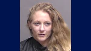 Palm Coast traffic stop leads to fentanyl arrest after drugs found hidden  in body cavity