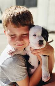 Meet Luisa, who is about 6 weeks old. She is one of Esperanza's puppies.  Luisa is such a sweet, playful girl who has the most entertaining sleep  positions. She got to have