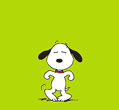 Giphy is how you search, share, discover, and create gifs. Spiderliliez