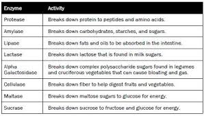 File Terrazyme Enzyme Chart 450x256 Jpg Wikiversity