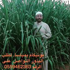 We did not find results for: Ø¨ÙˆÙ†ÙŠÙƒØ§Ù… Ø¨Ù…Ø¨Ø§Ø³Ø§ Ponikam1 Twitter
