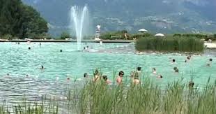Natural Swimming Pool In France Natural Pond Natural Swimming Pools Natural Pool